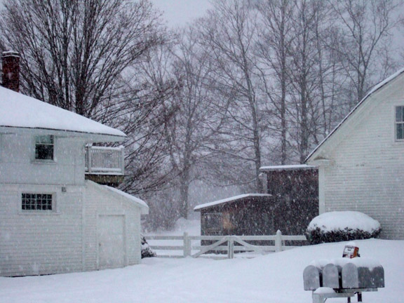 snowy driveway
